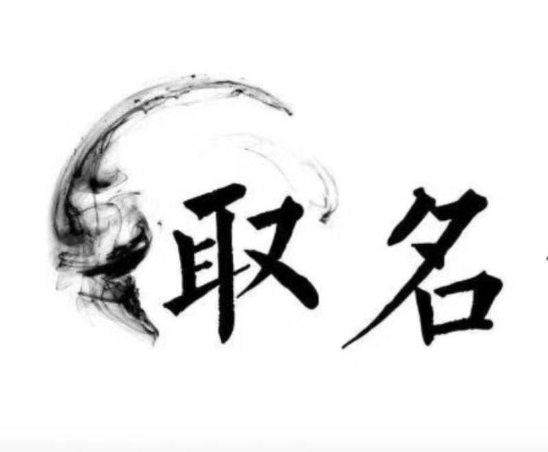  朔城宝宝取名 大师一对一人工起名